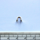 F-No.5/4,5 Koncovka piškota, 4,5mm