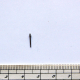 PEM-265/A Dřík náušnice, 11mm
