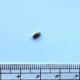 PEM-1020 Koncovka, 4,5mm