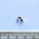 F-No.6/5,5 Koncovk-piškota, 5,5mm